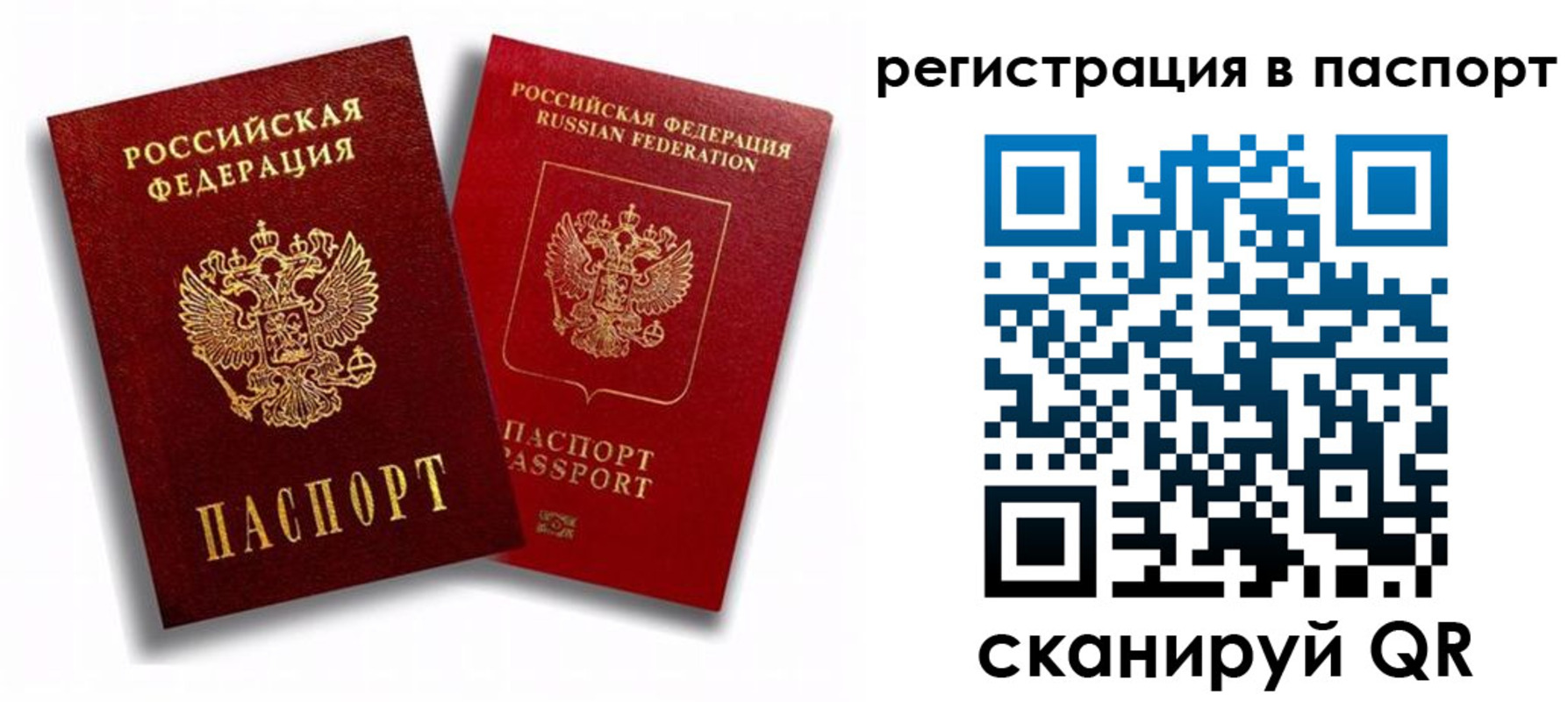 прописка 2025 в Жуковском